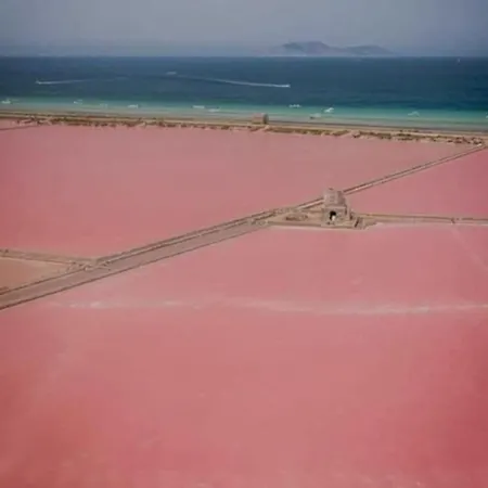 Da Rosa פטרוזינו